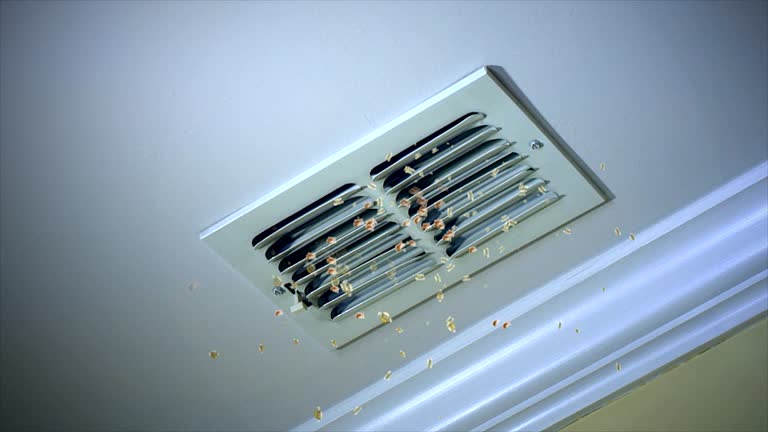 Best Dryer Vent Cleaning Services  in Bunk Foss, WA