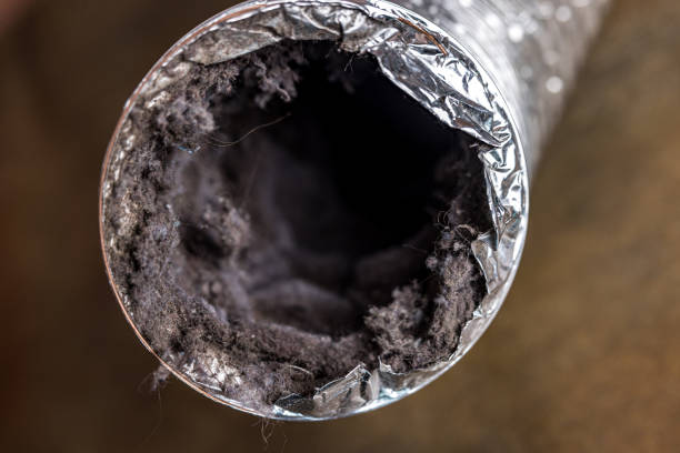Best HVAC Air Duct Cleaning  in Bunk Foss, WA